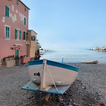 Il Ciliegio Di Miki