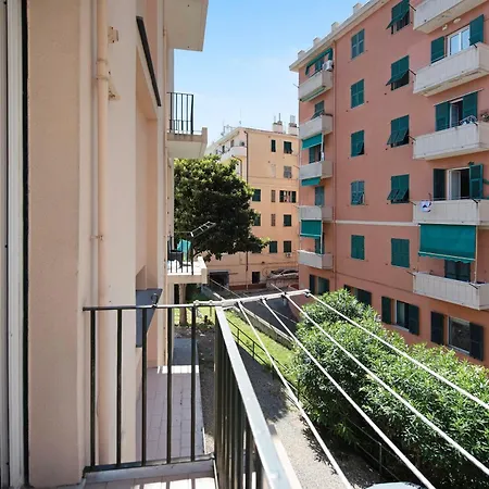 Il Ciliegio Di Miki * Genua