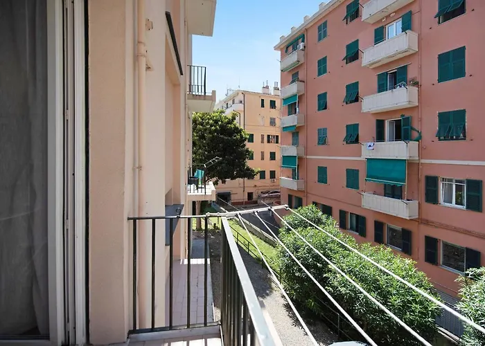 Il Ciliegio Di Miki Janov