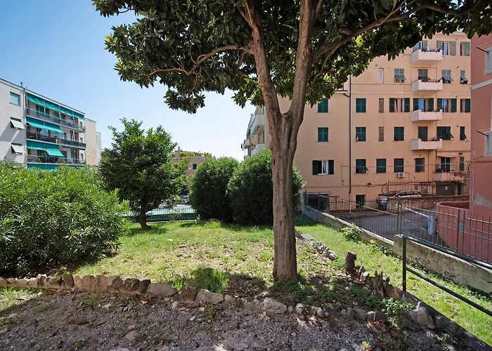 Il Ciliegio Di Miki * Janov