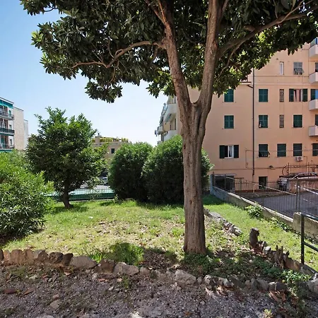 Il Ciliegio Di Miki * Cenova